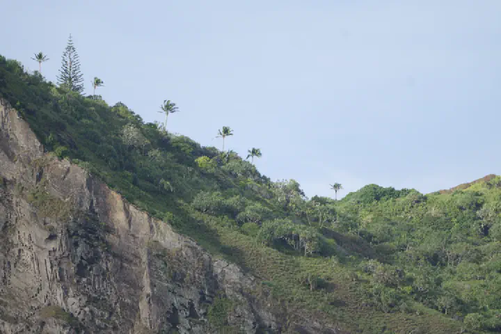 Adamstown, Pitcairn-Inseln - Photo 16