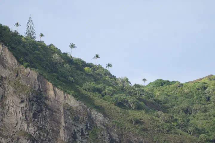 Adamstown, Pitcairn-Inseln - Photo 16