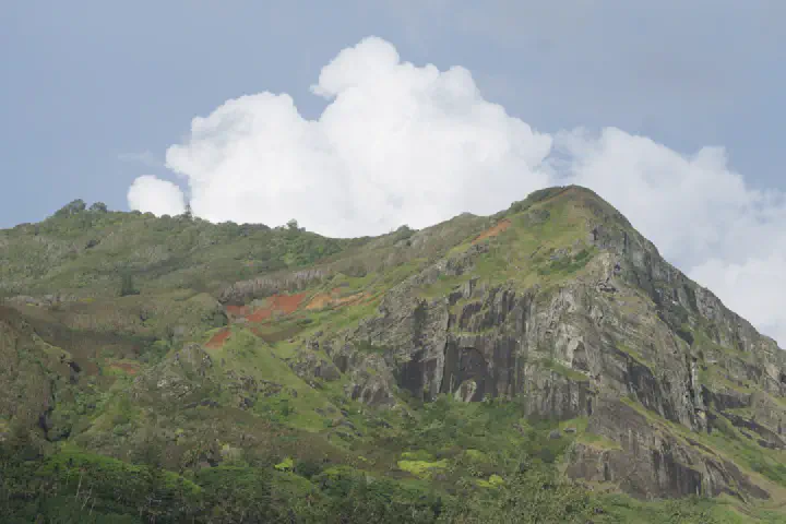 Adamstown, Pitcairn-Inseln - Photo 17