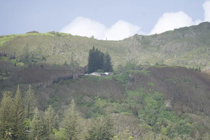 Adamstown, Pitcairn-Inseln - Photo 19