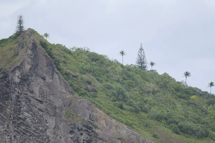 Adamstown, Pitcairn-Inseln - Photo 26