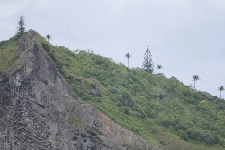 Adamstown, Pitcairn-Inseln - Photo 26