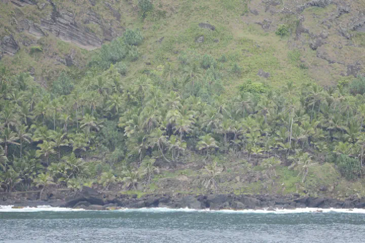 Adamstown, Pitcairn-Inseln - Photo 33