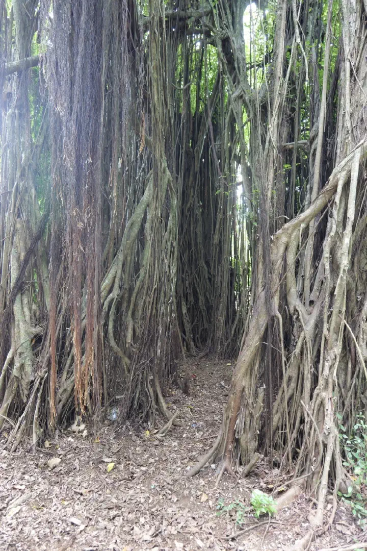 Aitutaki, Cookinseln - Photo 14