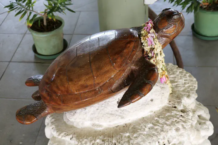 Aitutaki, Cookinseln - Photo 25