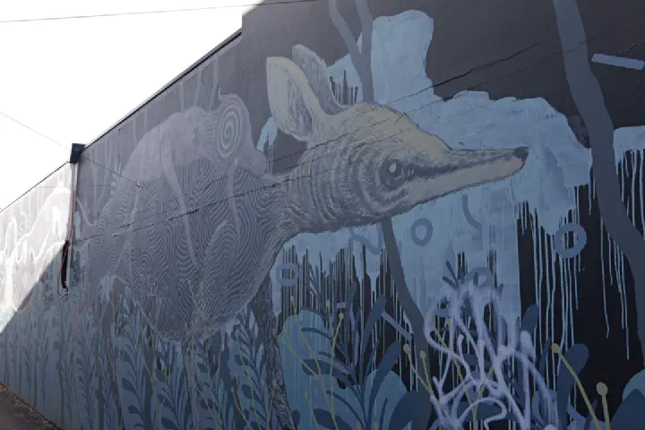 Albany, Australien - Photo 8