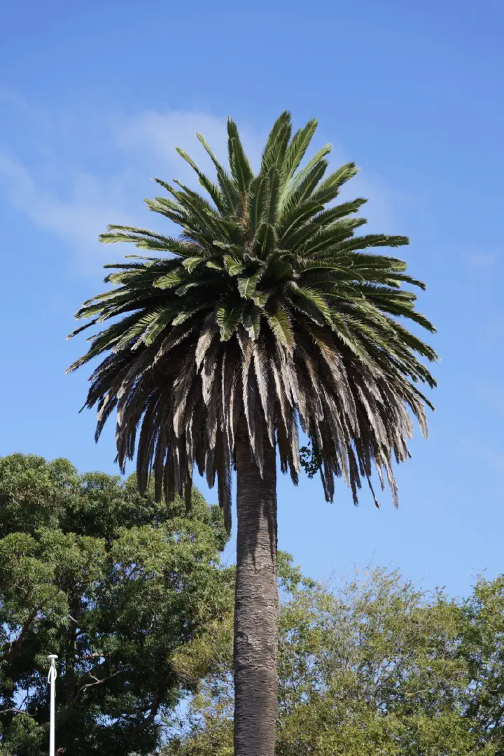 Albany, Australien - Photo 13