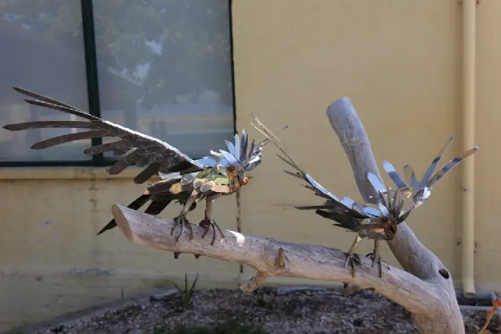 Albany, Australien - Photo 30