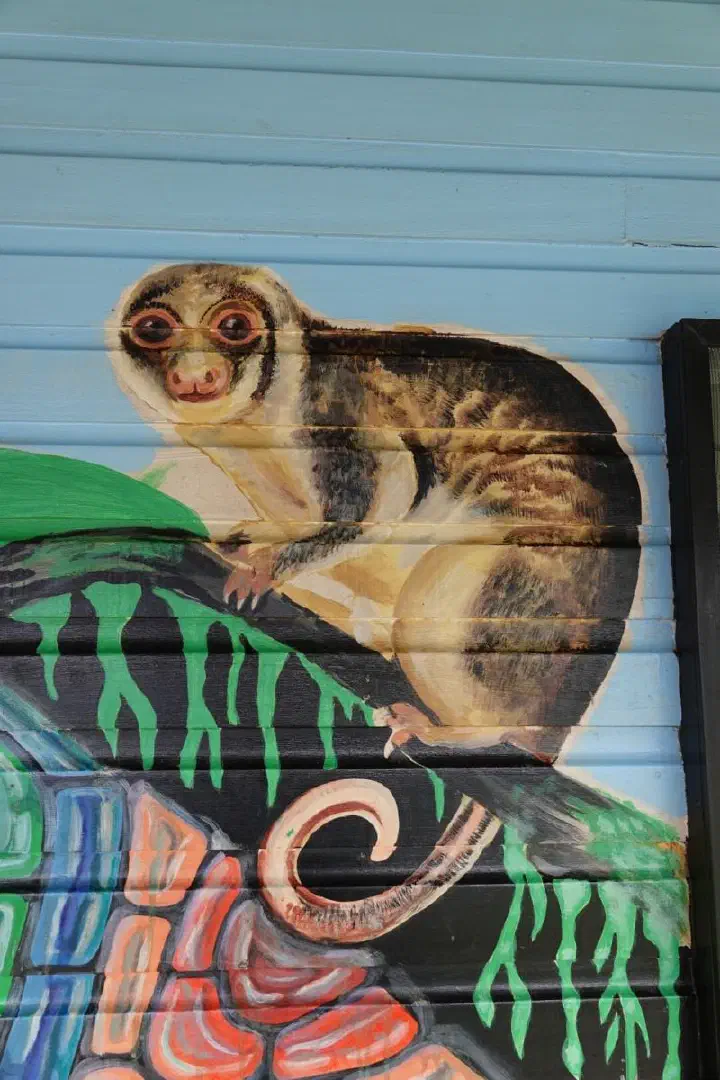 Alotau, Papua-Neuguinea - Photo 12
