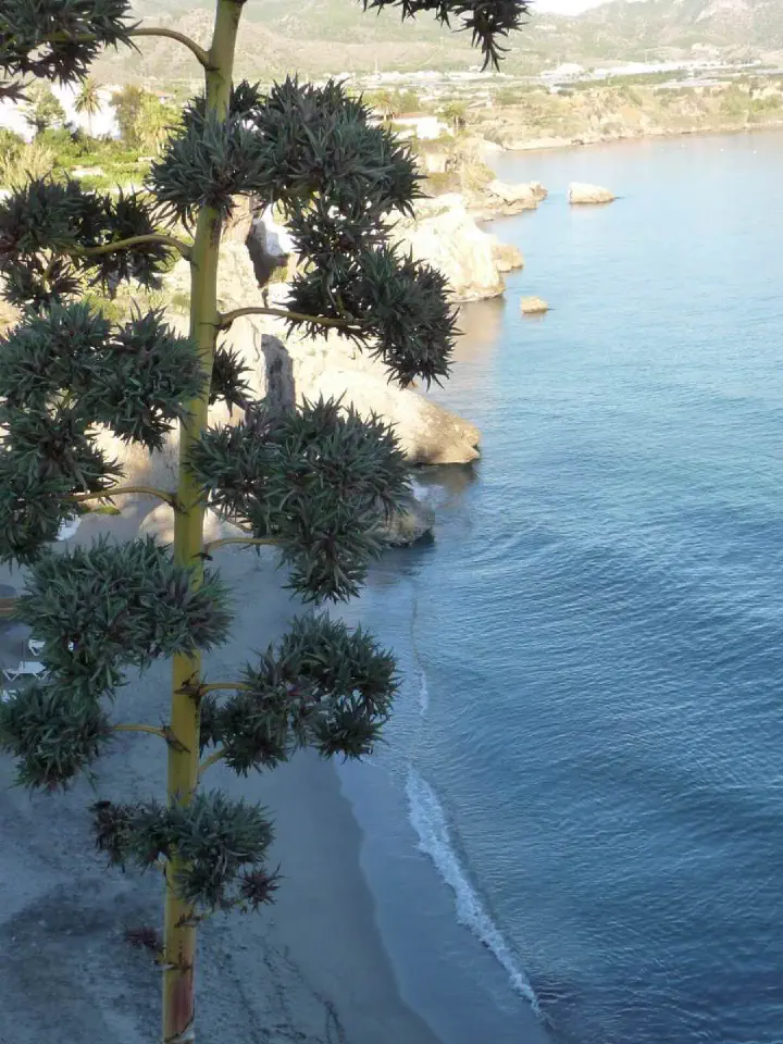 Andalusien, Spanien - Photo 11