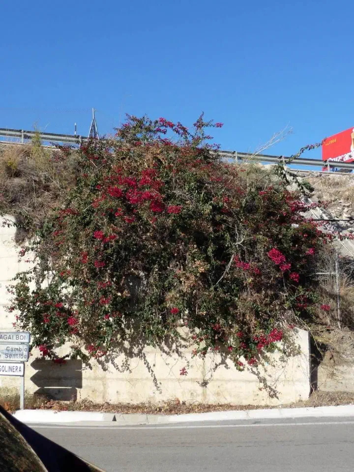 Andalusien, Spanien - Photo 16