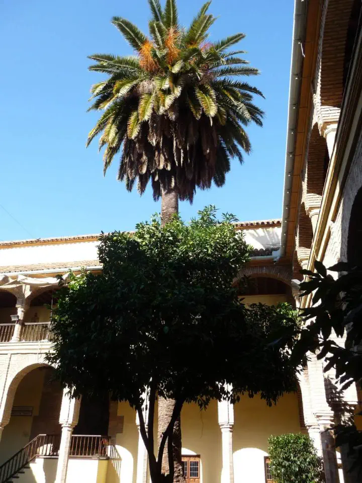 Andalusien, Spanien - Photo 10