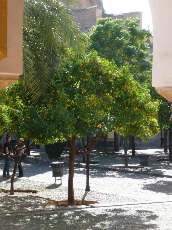 Andalusien, Spanien - Photo 16