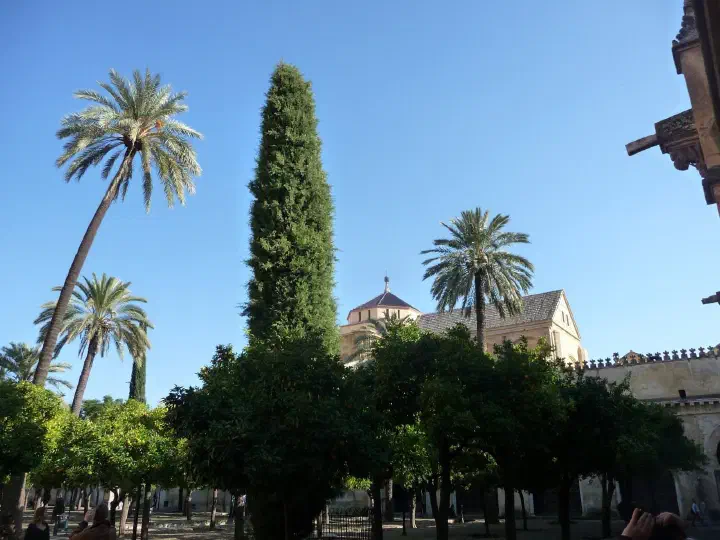 Andalusien, Spanien - Photo 27