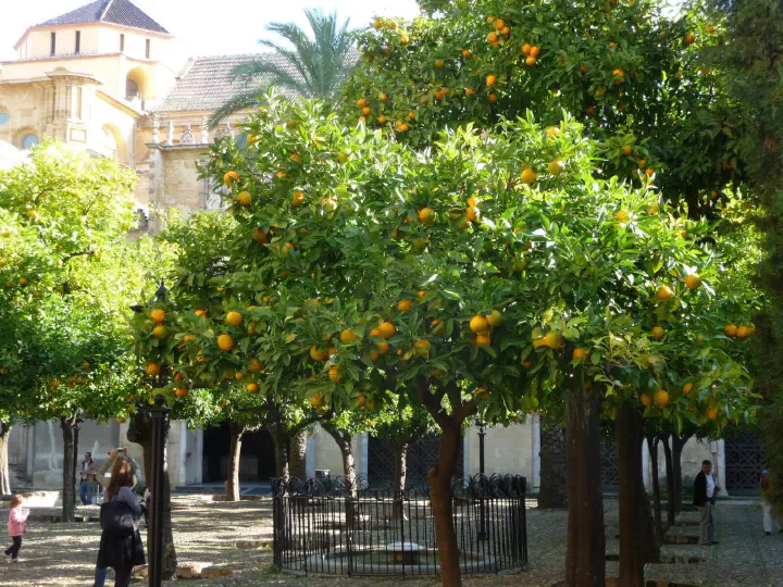 Andalusien, Spanien - Photo 29