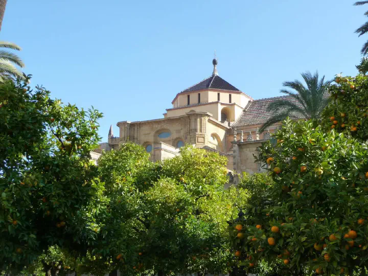 Andalusien, Spanien - Photo 30