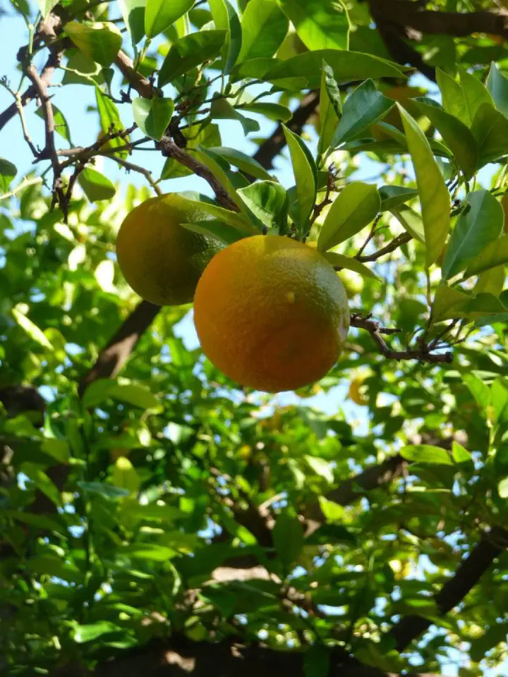 Andalusien, Spanien - Photo 32