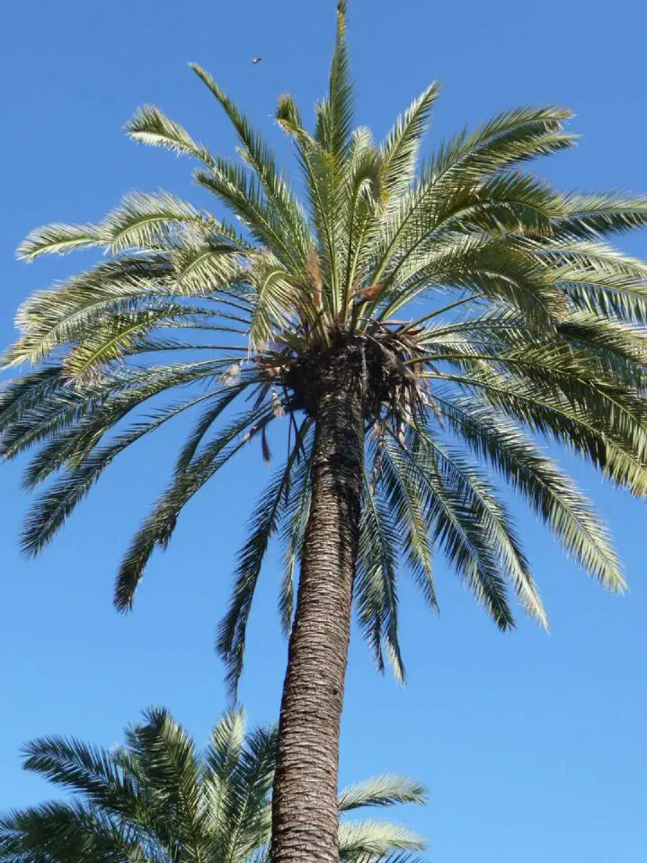 Andalusien, Spanien - Photo 33