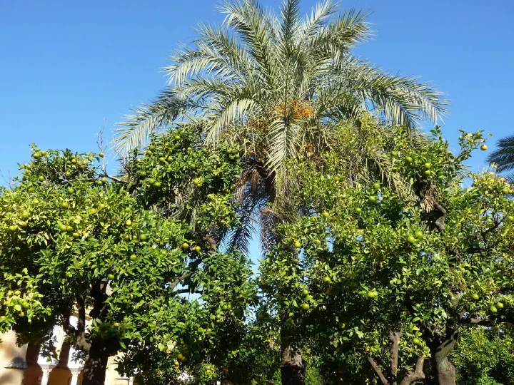 Andalusien, Spanien - Photo 34