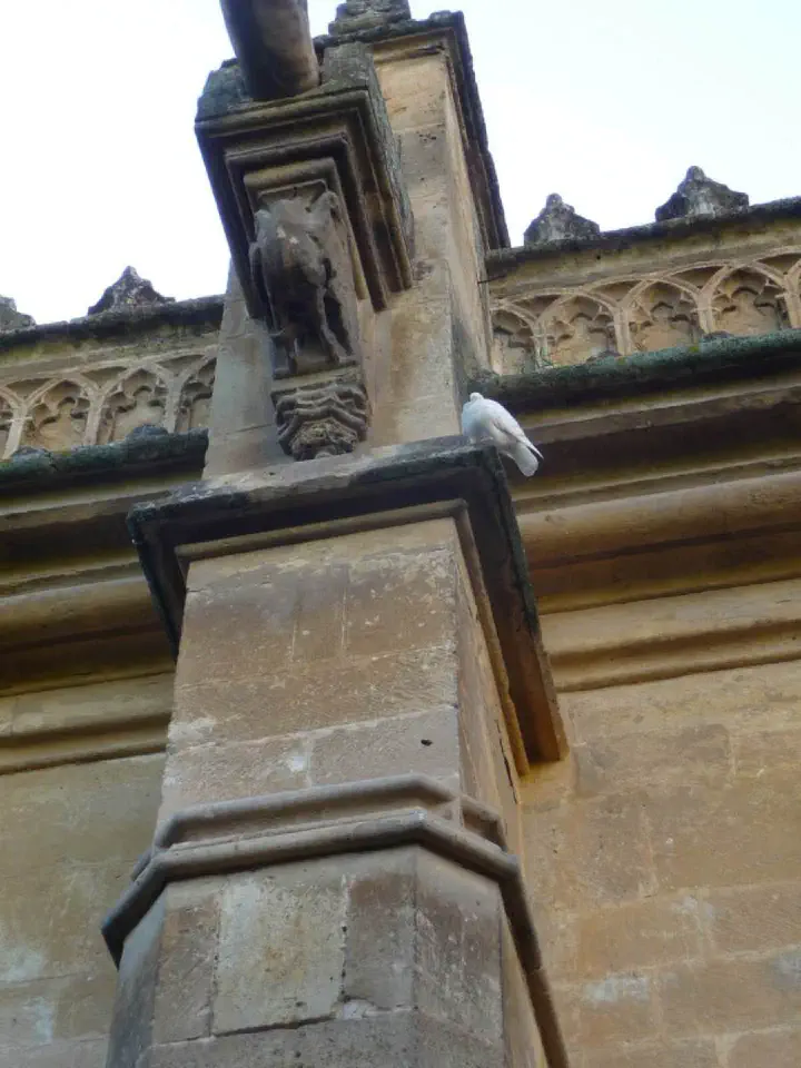 Andalusien, Spanien - Photo 36