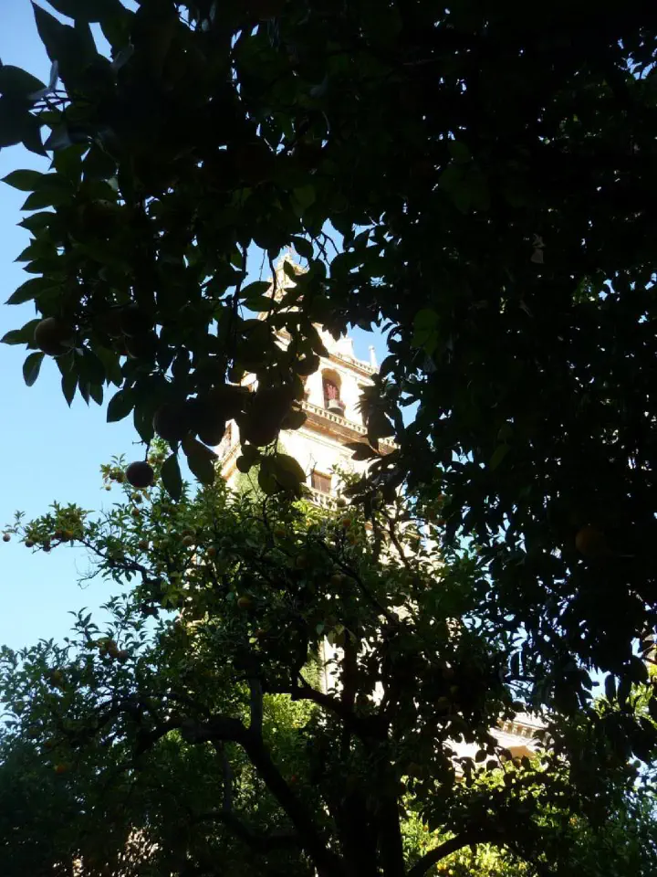 Andalusien, Spanien - Photo 37