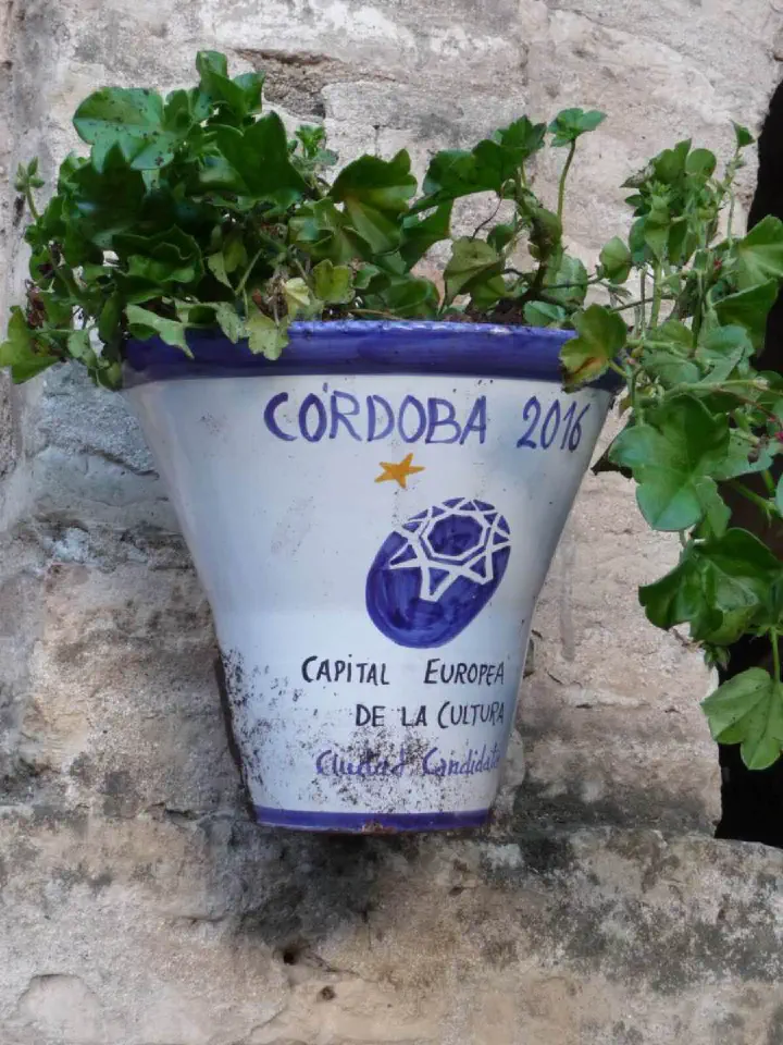 Andalusien, Spanien - Photo 64