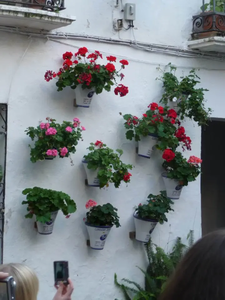 Andalusien, Spanien - Photo 67