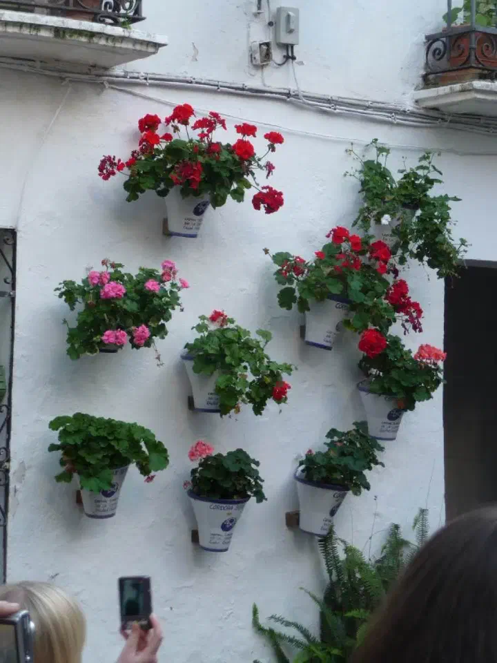 Andalusien, Spanien - Photo 67