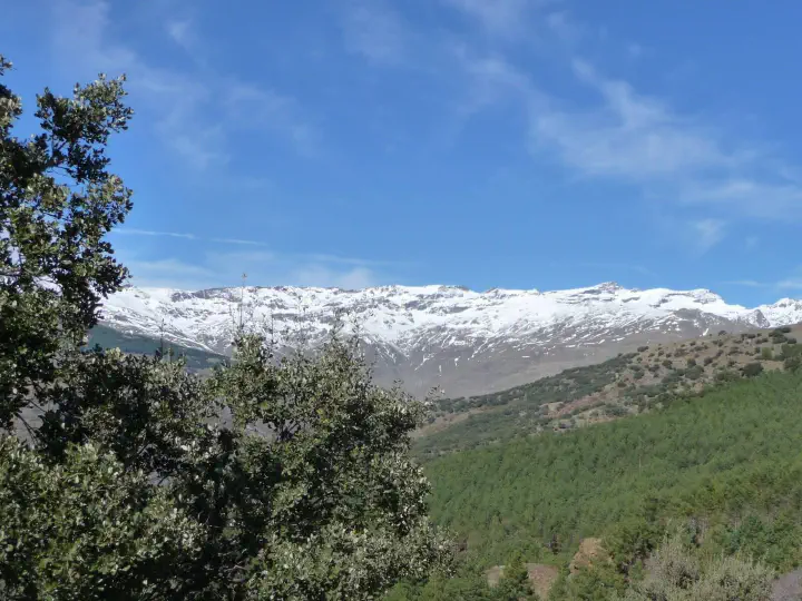 Andalusien, Spanien - Photo 6