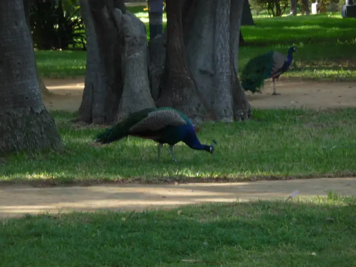 Andalusien, Spanien - Photo 12