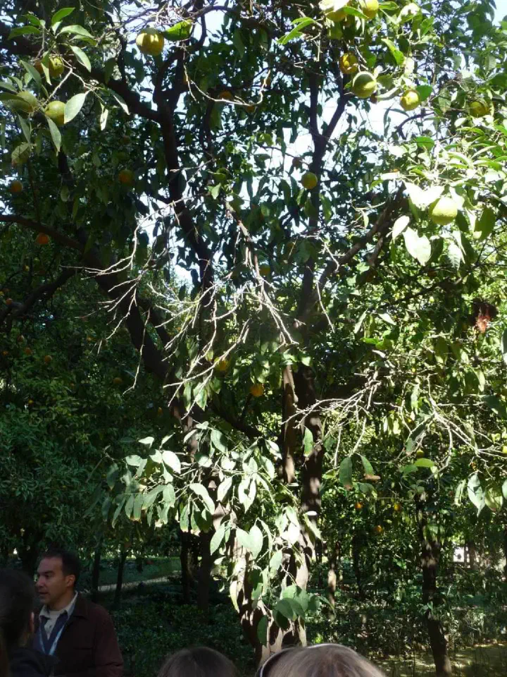 Andalusien, Spanien - Photo 13