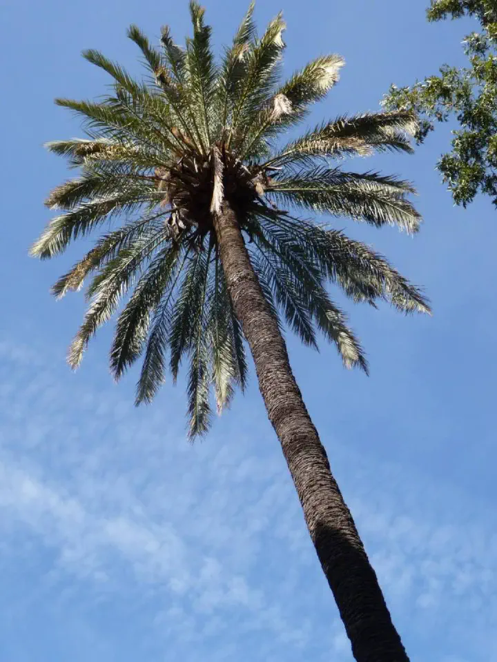 Andalusien, Spanien - Photo 15