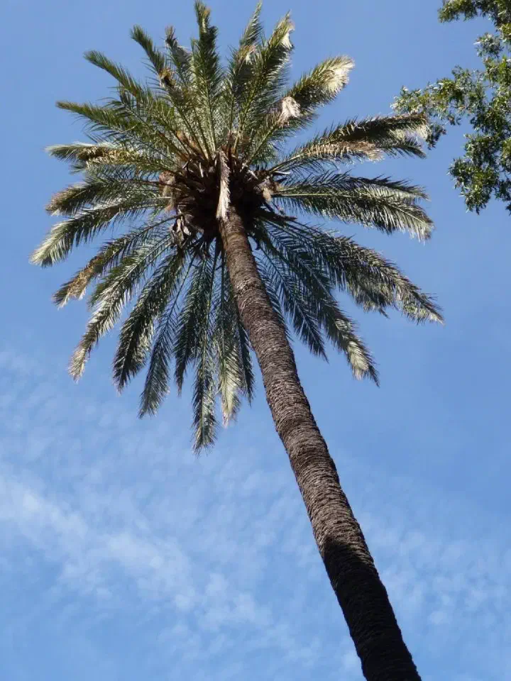Andalusien, Spanien - Photo 15