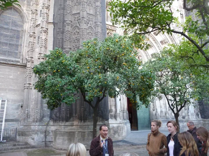 Andalusien, Spanien - Photo 39