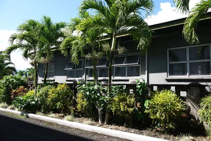 Apia, Samoa - Photo 10