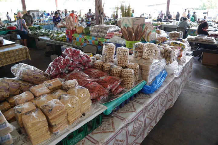 Apia, Samoa - Photo 24