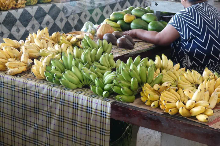 Apia, Samoa - Photo 25