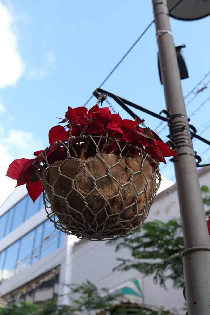 Arrecife, Spanien - Photo 3