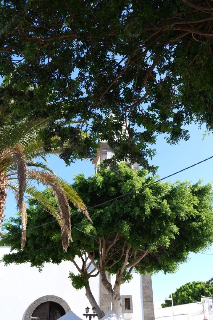 Arrecife, Spanien - Photo 18