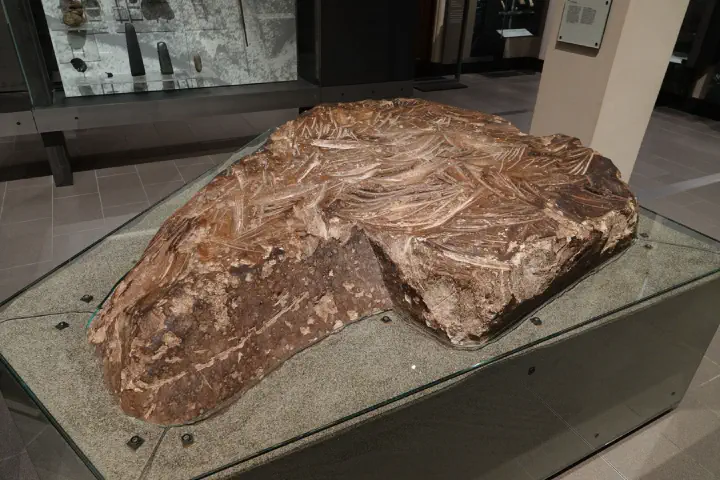 Auckland, Neuseeland - Photo 22