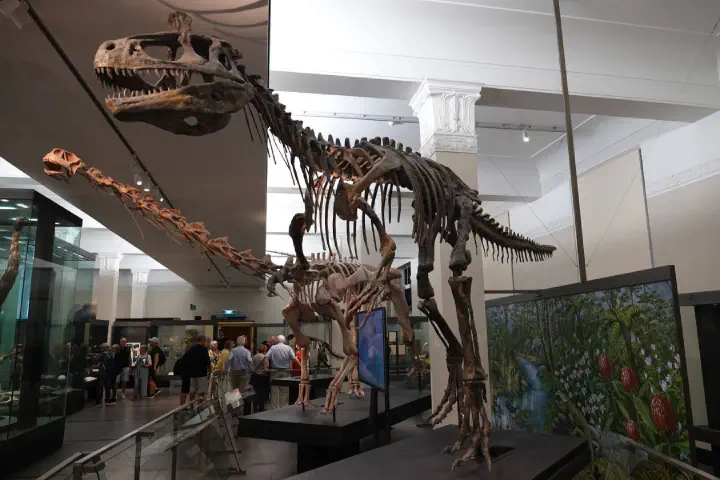 Auckland, Neuseeland - Photo 23