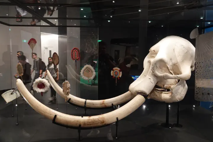 Auckland, Neuseeland - Photo 28