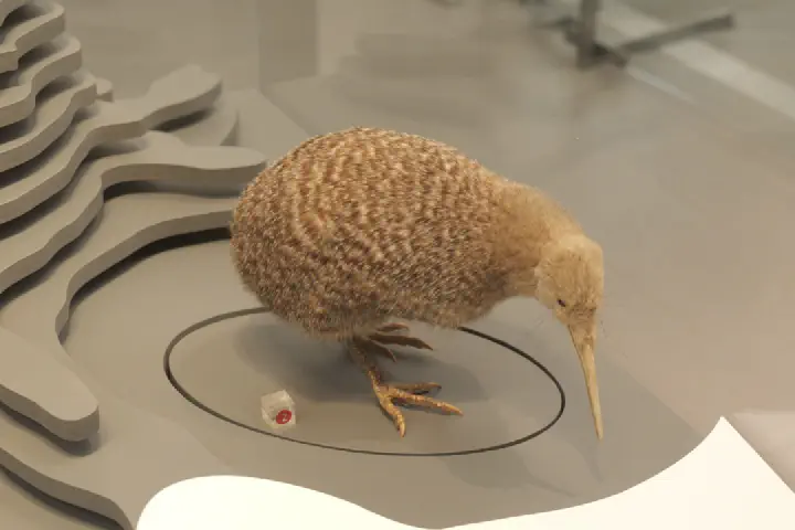 Auckland, Neuseeland - Photo 9