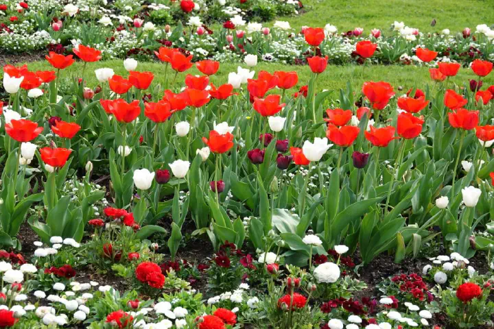 Baden-Baden, Deutschland - Photo 9