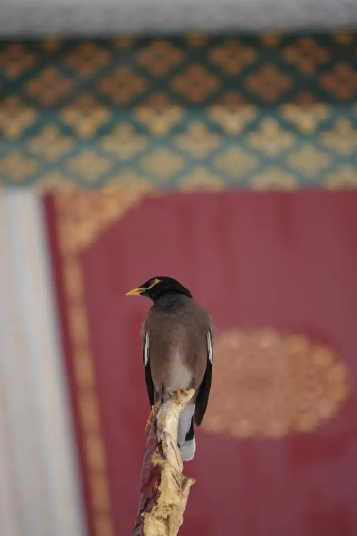 Bangkok, Thailand - Photo 23