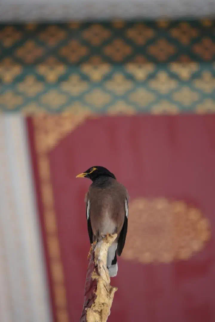 Bangkok, Thailand - Photo 23
