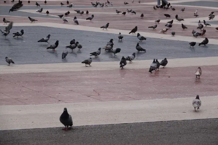 Barcelona, Spanien - Photo 7