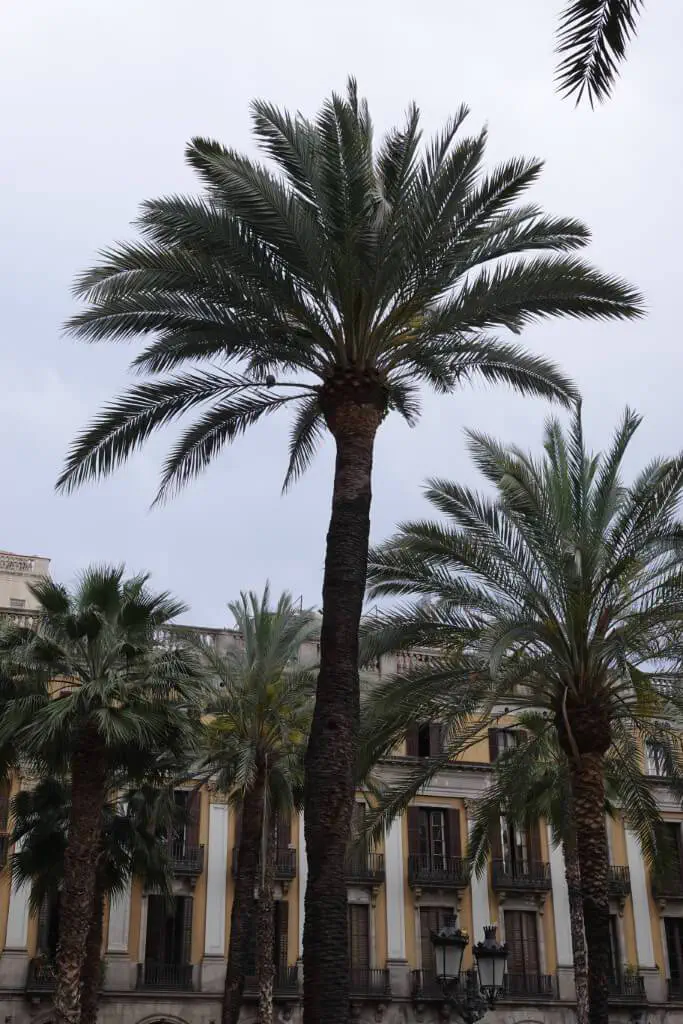 Barcelona, Spanien - Photo 25