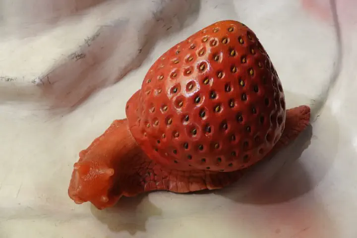 Barcelona, Spanien - Photo 10