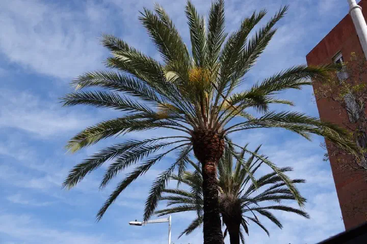 Barcelona, Spanien - Photo 33
